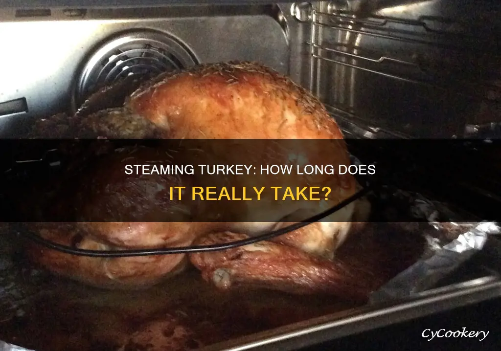 how long does it take to steam cook turkey