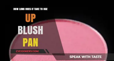 How Long Does It Take to Use Up a Blush Pan?