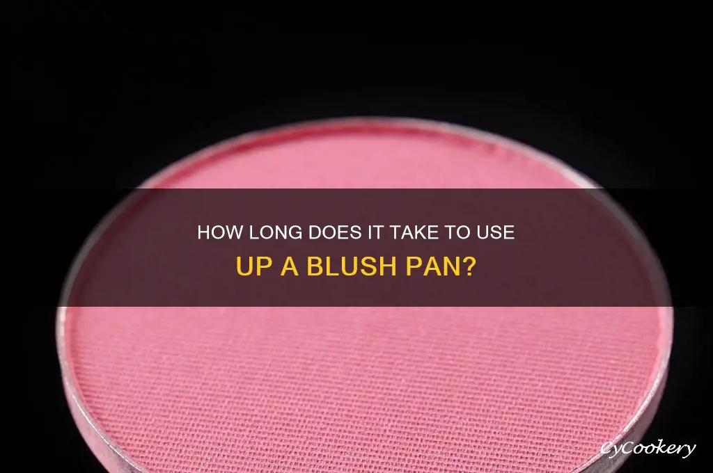 how long does it take to use up blush pan