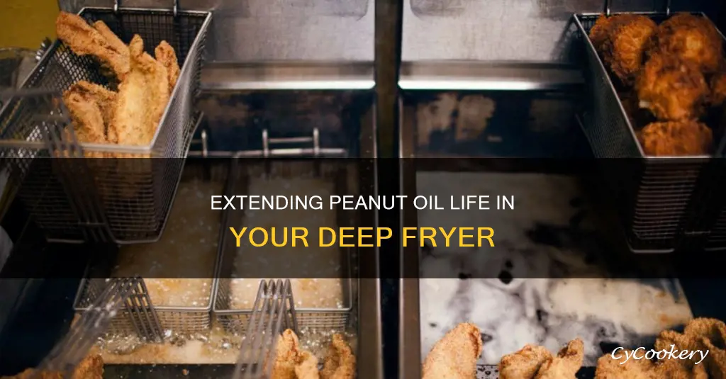 how long does peanut oil last in a deep fryer