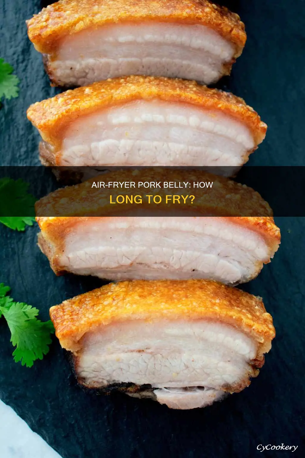 how long does pork belly take in air fryer