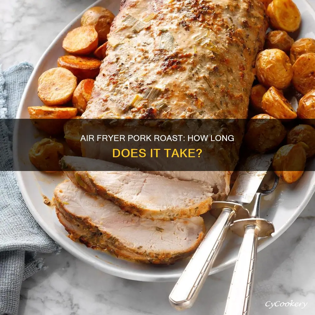 how long does pork roast take in air fryer