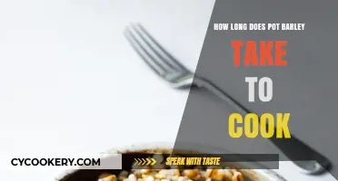 Barley Cooking Time: How Long Until Tender?