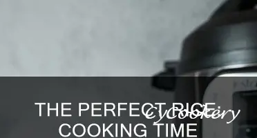how long does rice cook for in a pot