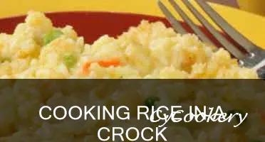 how long does rice need to cook in crock pot