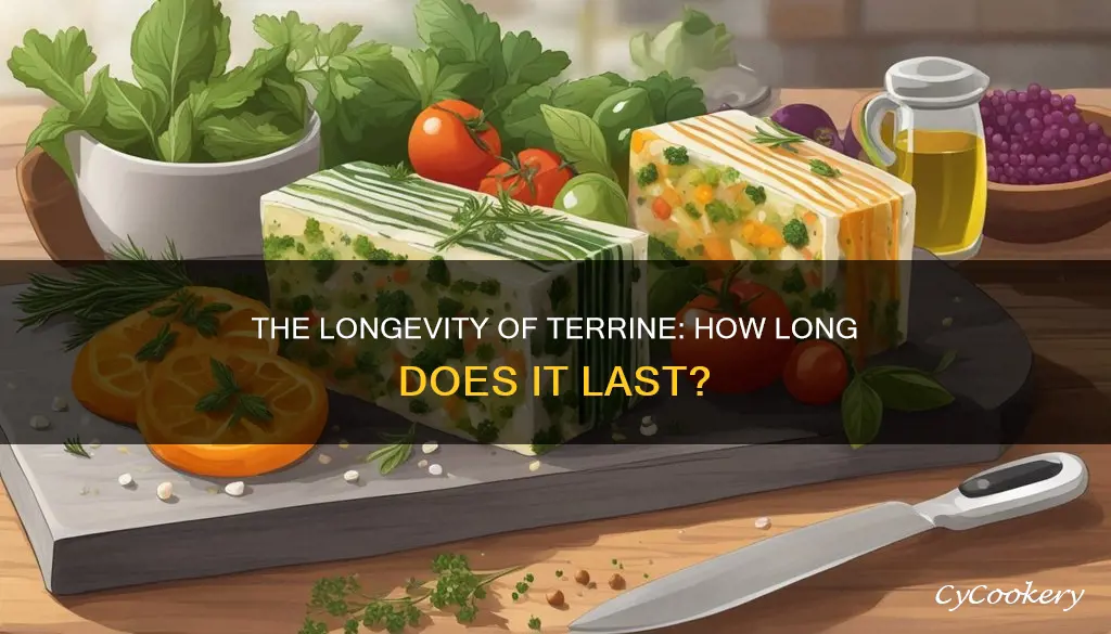 how long does terrine last