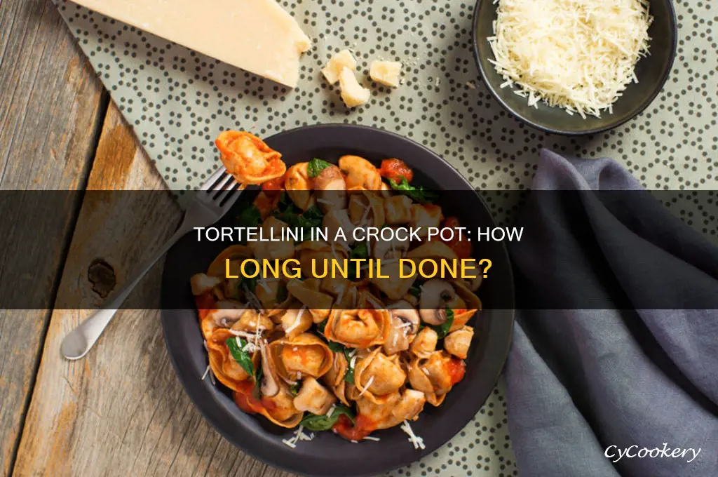 how long does tortellini take to cook in crock pot