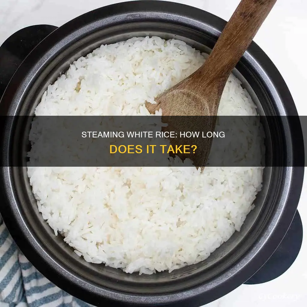 how long does white rice take to cook steamer