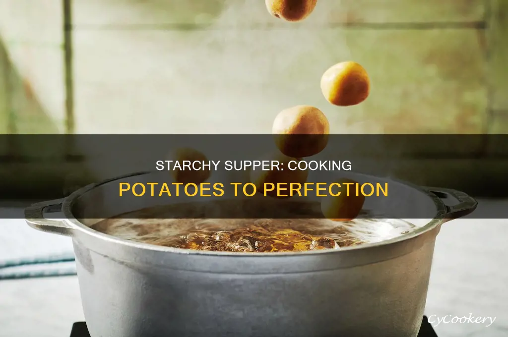 how long for a big pot of potatos to cook