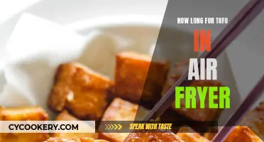 Air Fryer Tofu: How Long to Fry?