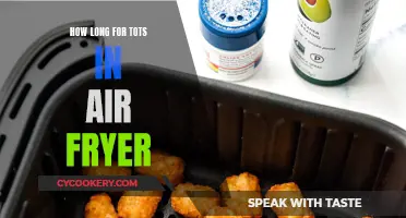 Air Fryer Tater Tots: The Perfect Timing