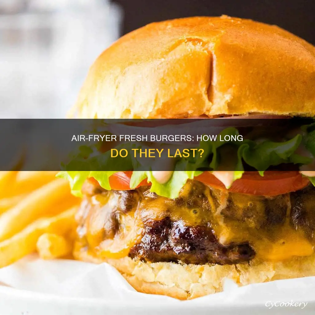 how long fresh burgers in air fryer