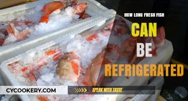 Refrigerating Fresh Fish: Optimal Storage Time and Safety Tips