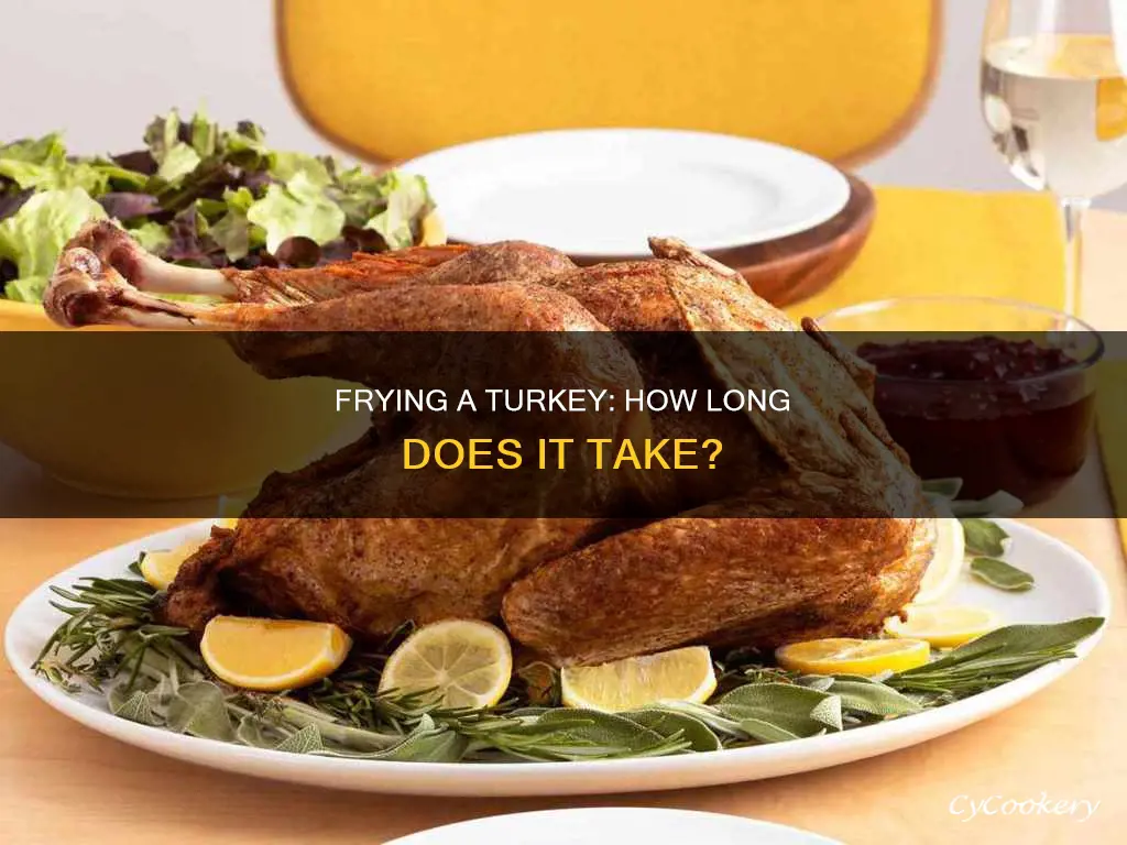 how long fry a turkey in deep fryer