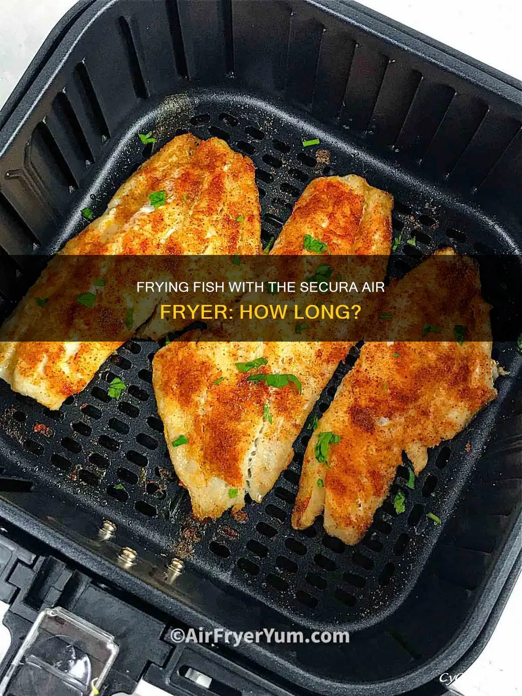 how long fry fish in secura hot air fryer