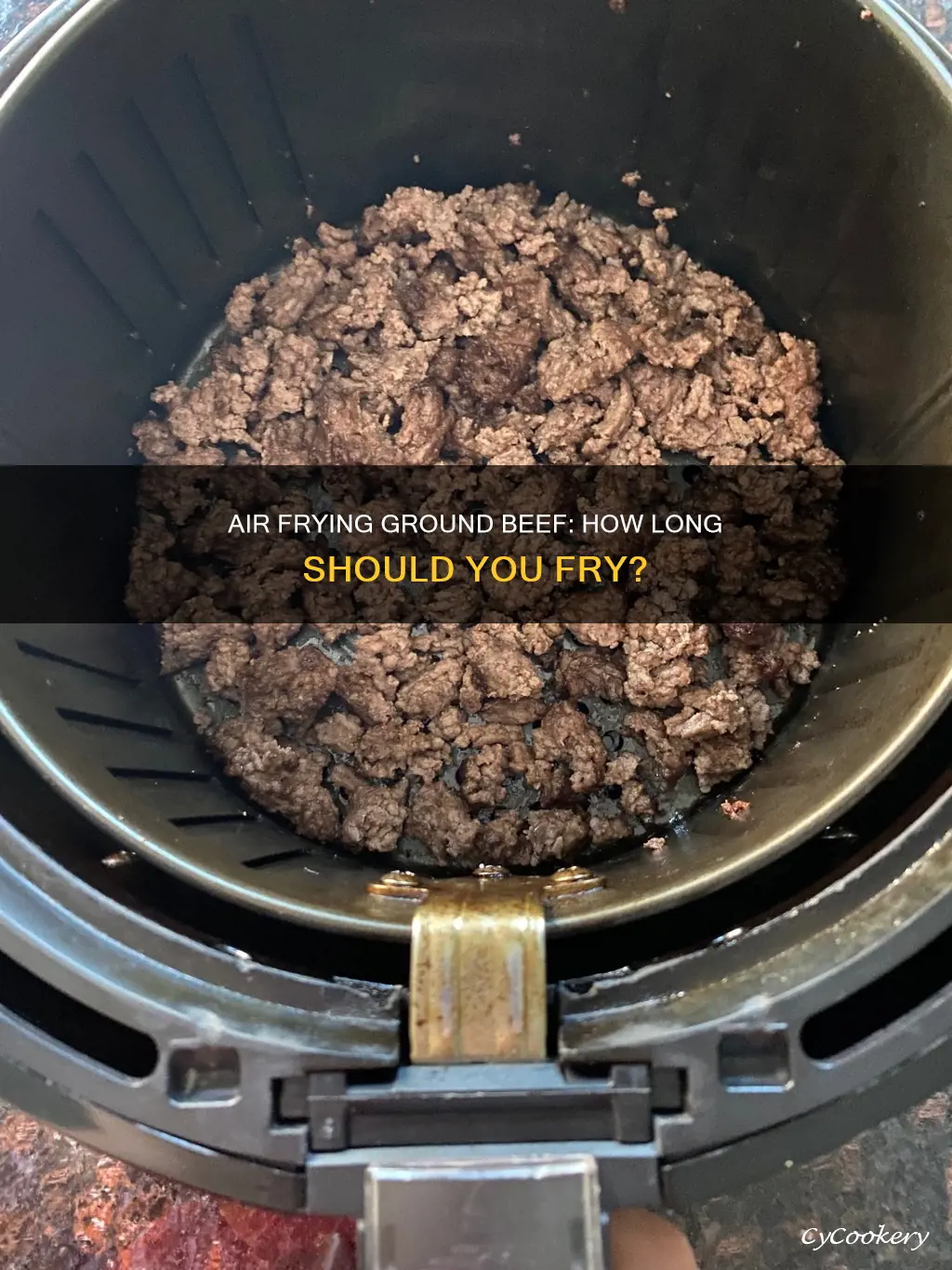 how long ground beef in air fryer