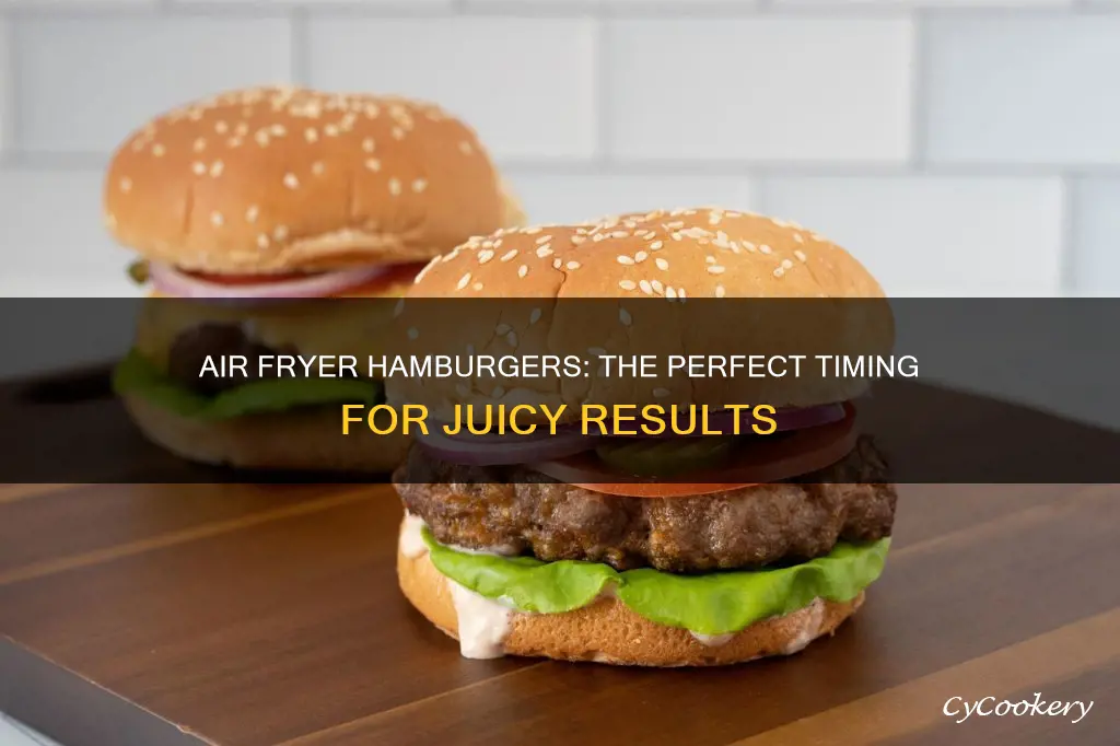 how long hamburger air fryer