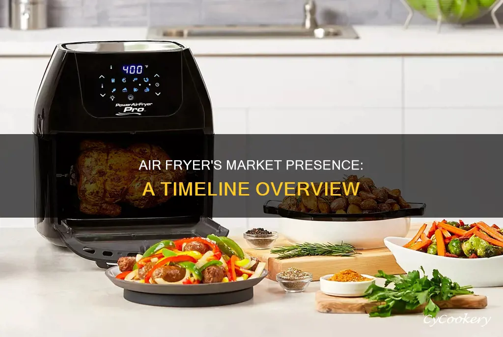 how long has the power air fryer been out