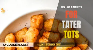 Air Fryer Tater Tots: Timing for Perfect Crunch