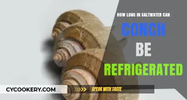 Refrigerating Conch: Saltwater Storage Duration and Freshness Tips