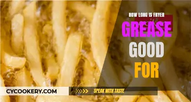 Fryer Grease: How Long Does It Last?