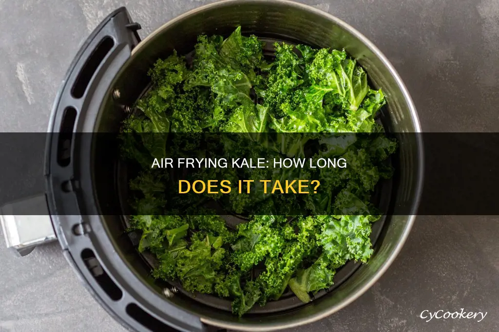 how long kale in air fryer