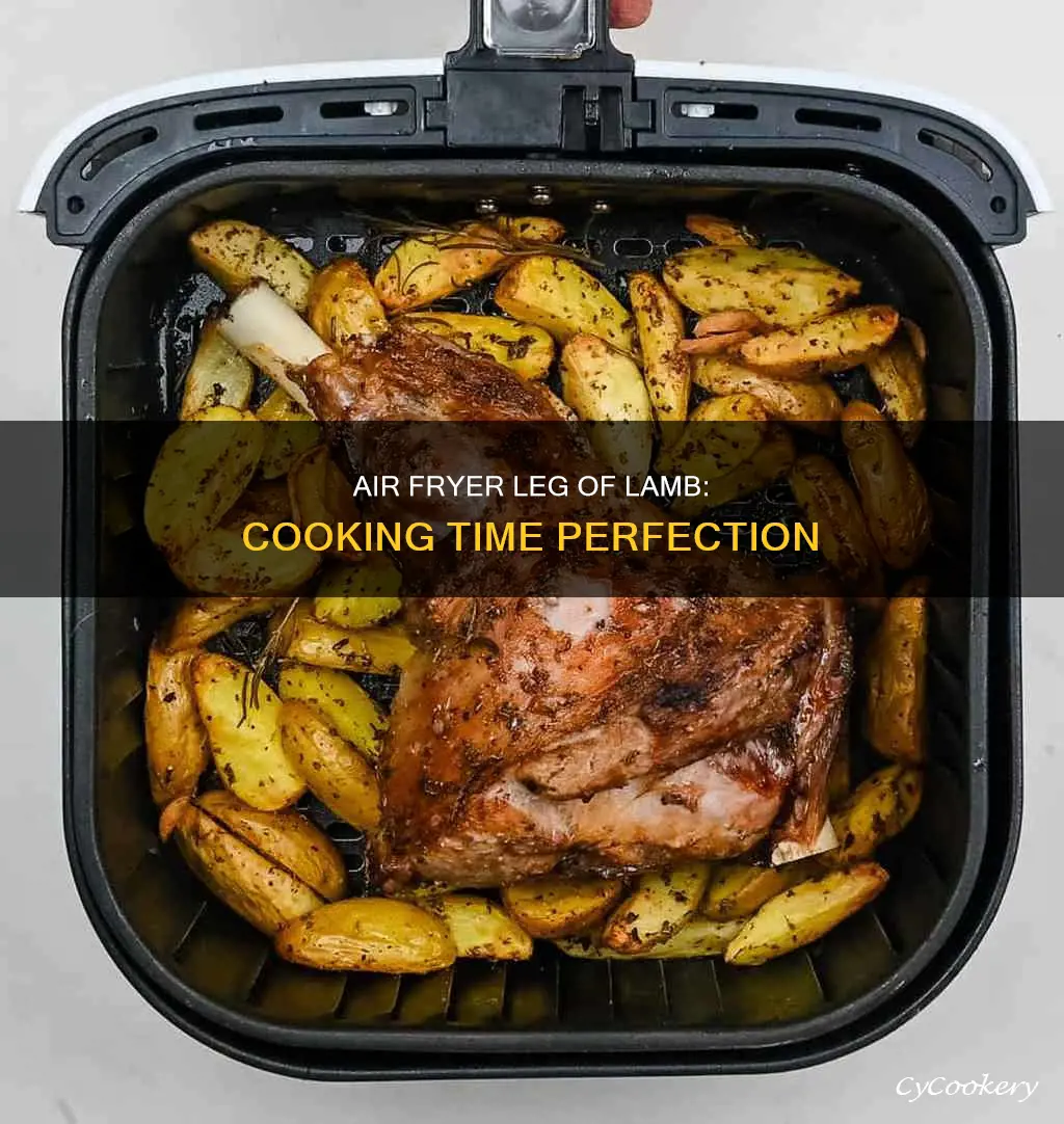 how long leg of lamb in air fryer