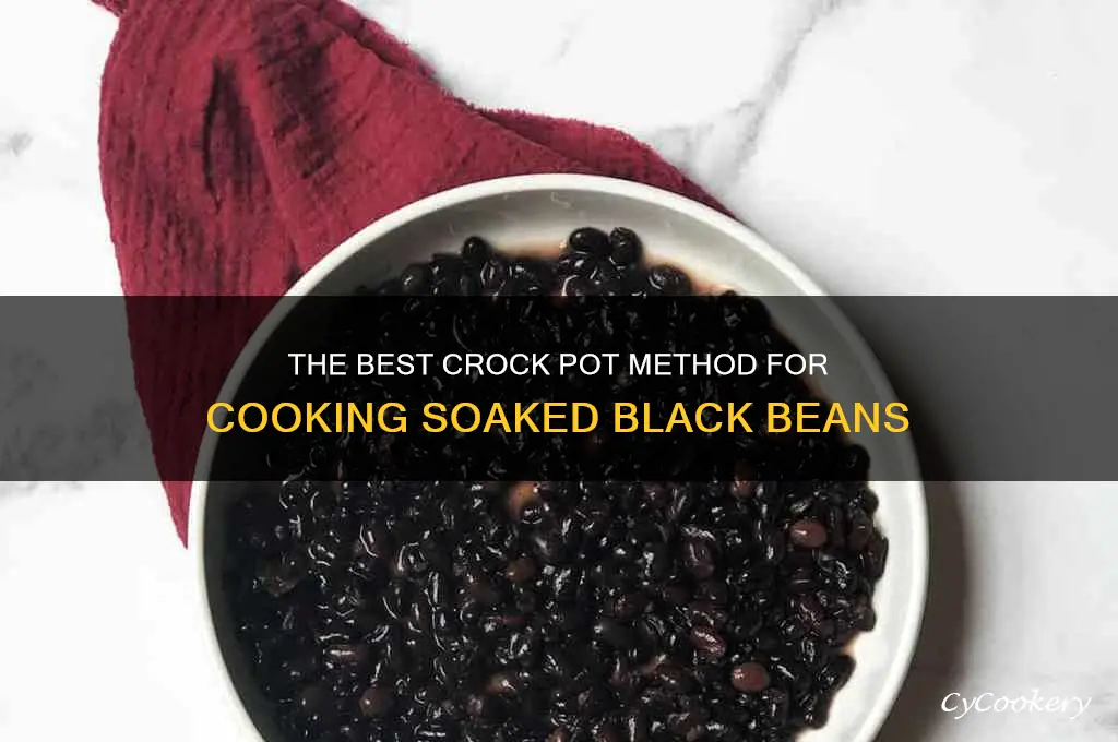 how long ot cook soaked black beans in crock pot