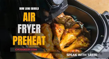 Air Fryer Preheating: How Long Should You Wait?