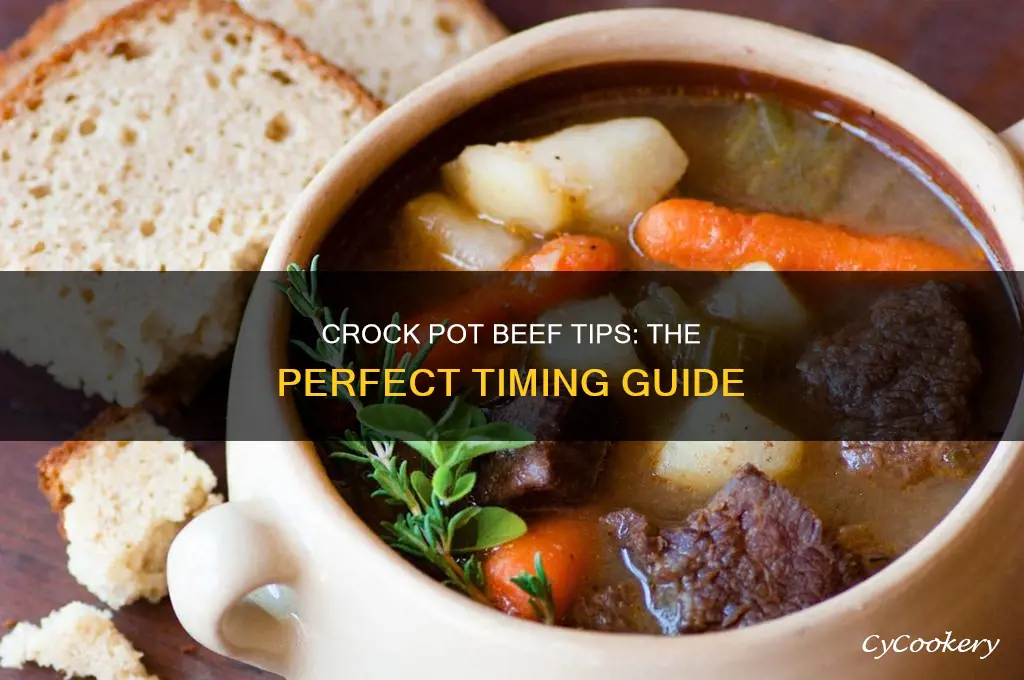 how long should beef tips cook in crock pot