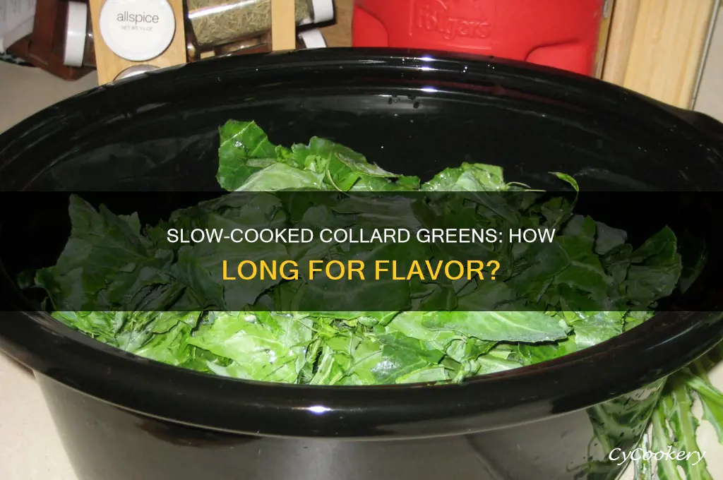 how long should collard greens cook in a crock pot
