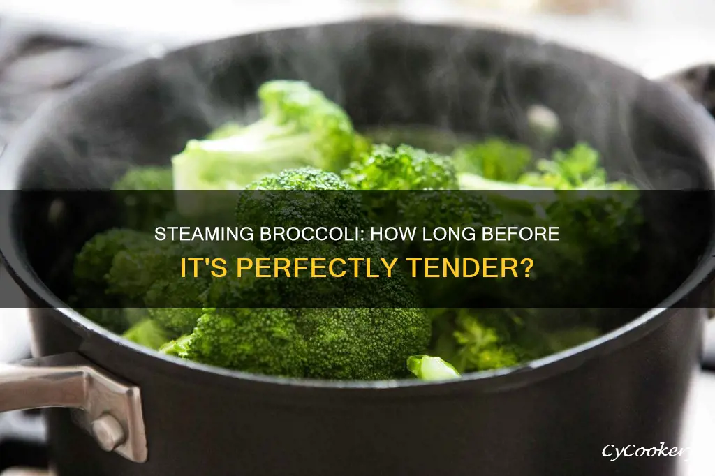 how long should cook vegetables to steamed broccoli