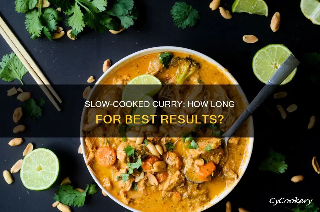how long should curry cook in the crock pot
