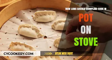 Stove-Top Dumpling Cooking Time: How Long is Enough?