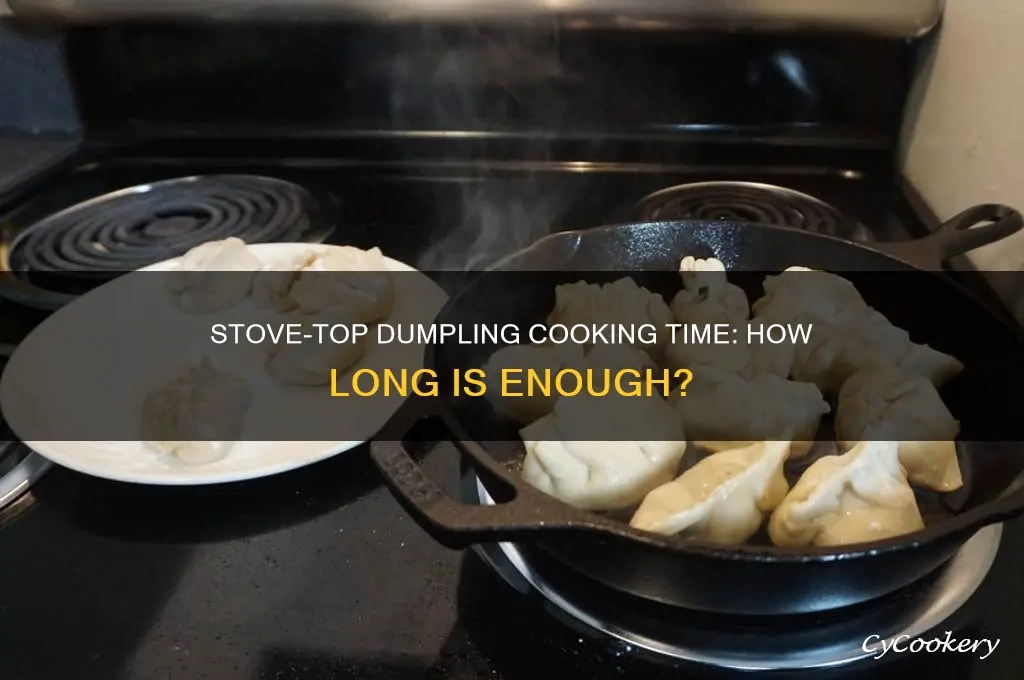 how long should dumpling cook in pot on stove