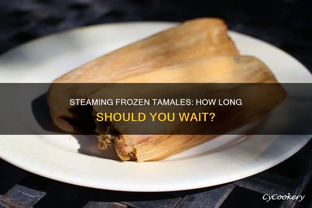 how long should i steam a dozen cooked frozen tamales