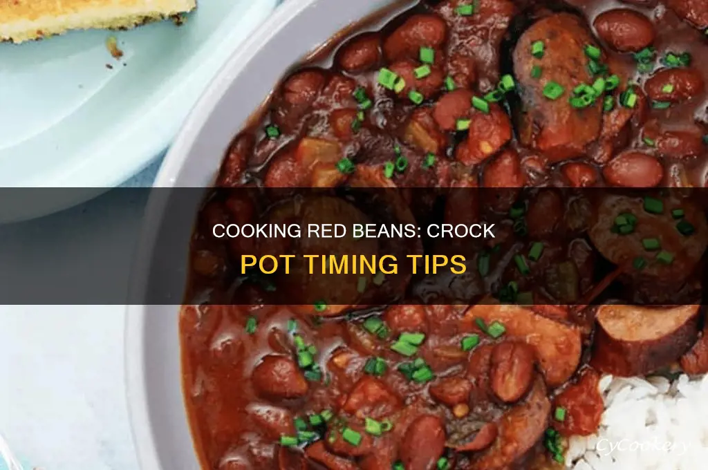 how long should red beans cook in crock pot