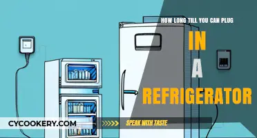 When Can You Safely Plug In a New Refrigerator?