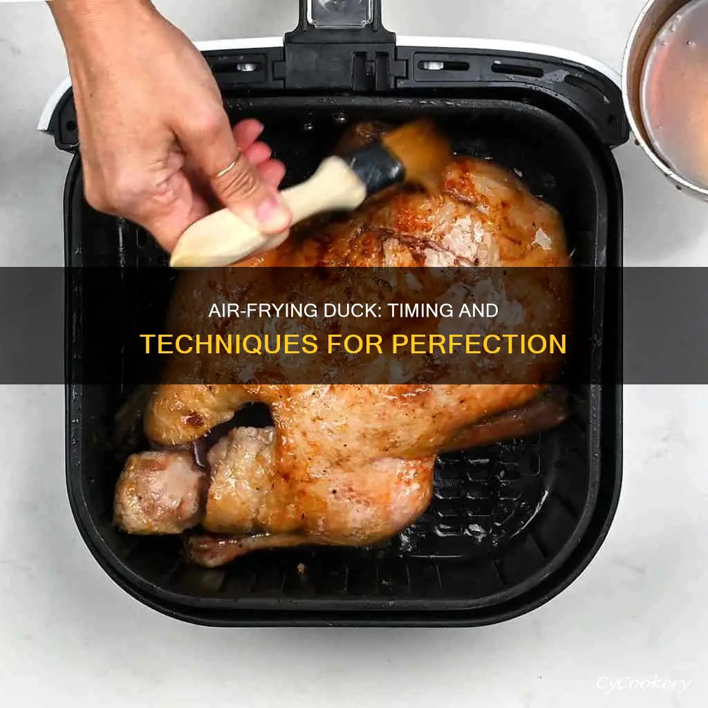 how long to air fryer a duck