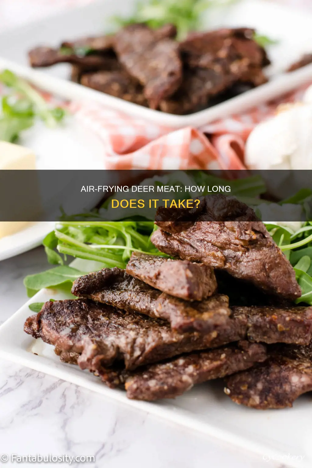 how long to air fryer deer meat