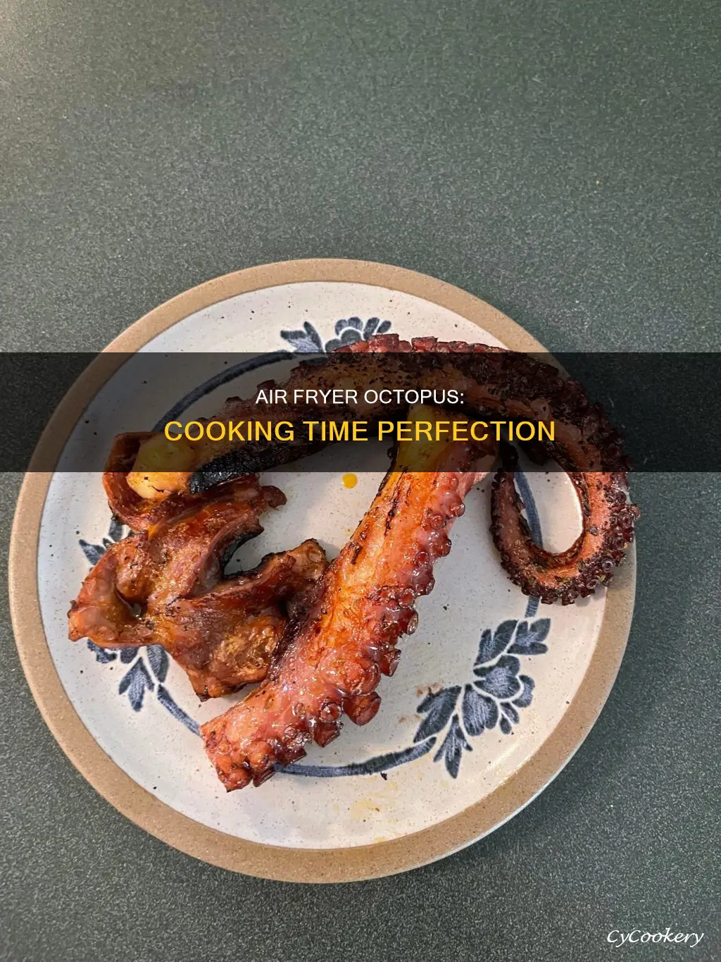 how long to air fryer octopus