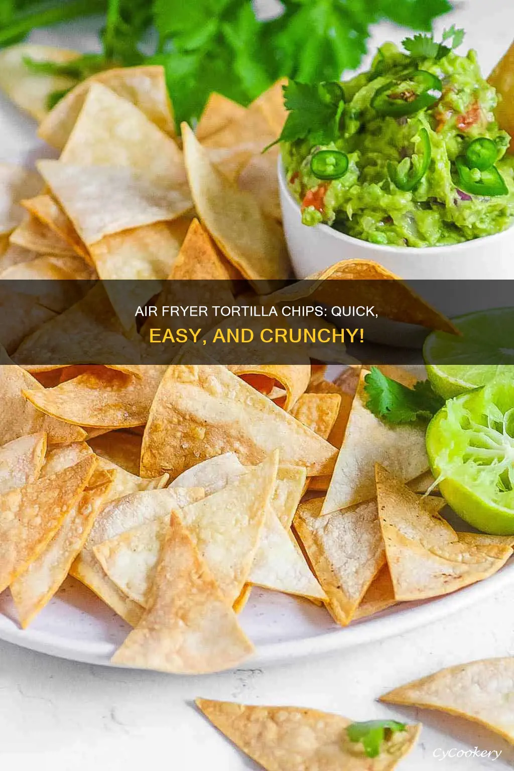 how long to air fryer tortilla to make chips