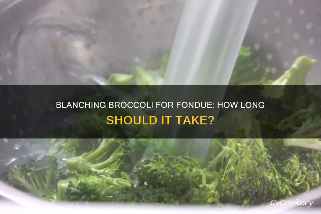 how long to blanch broccoli for fondue