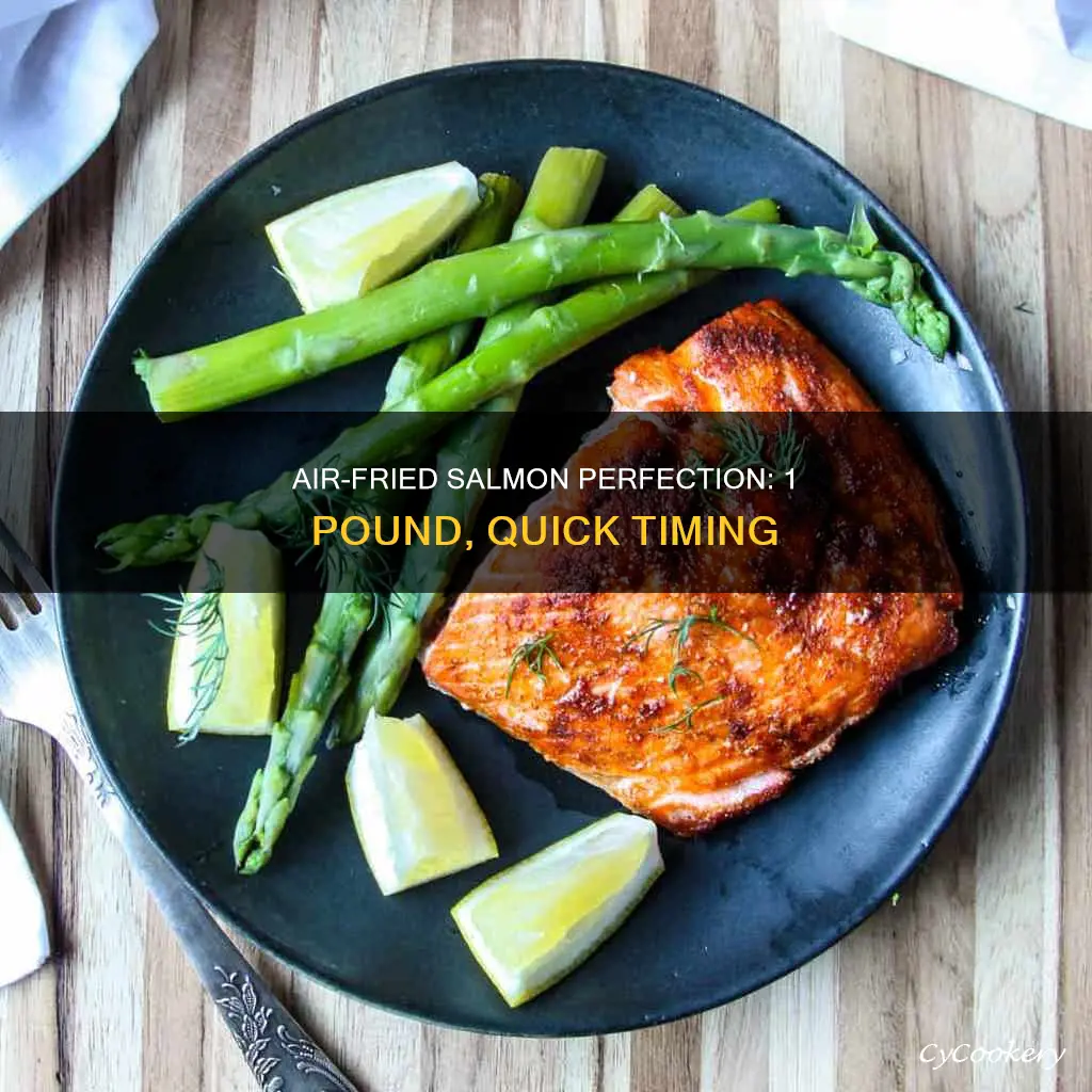 how long to cook 1 lb salmon in air fryer