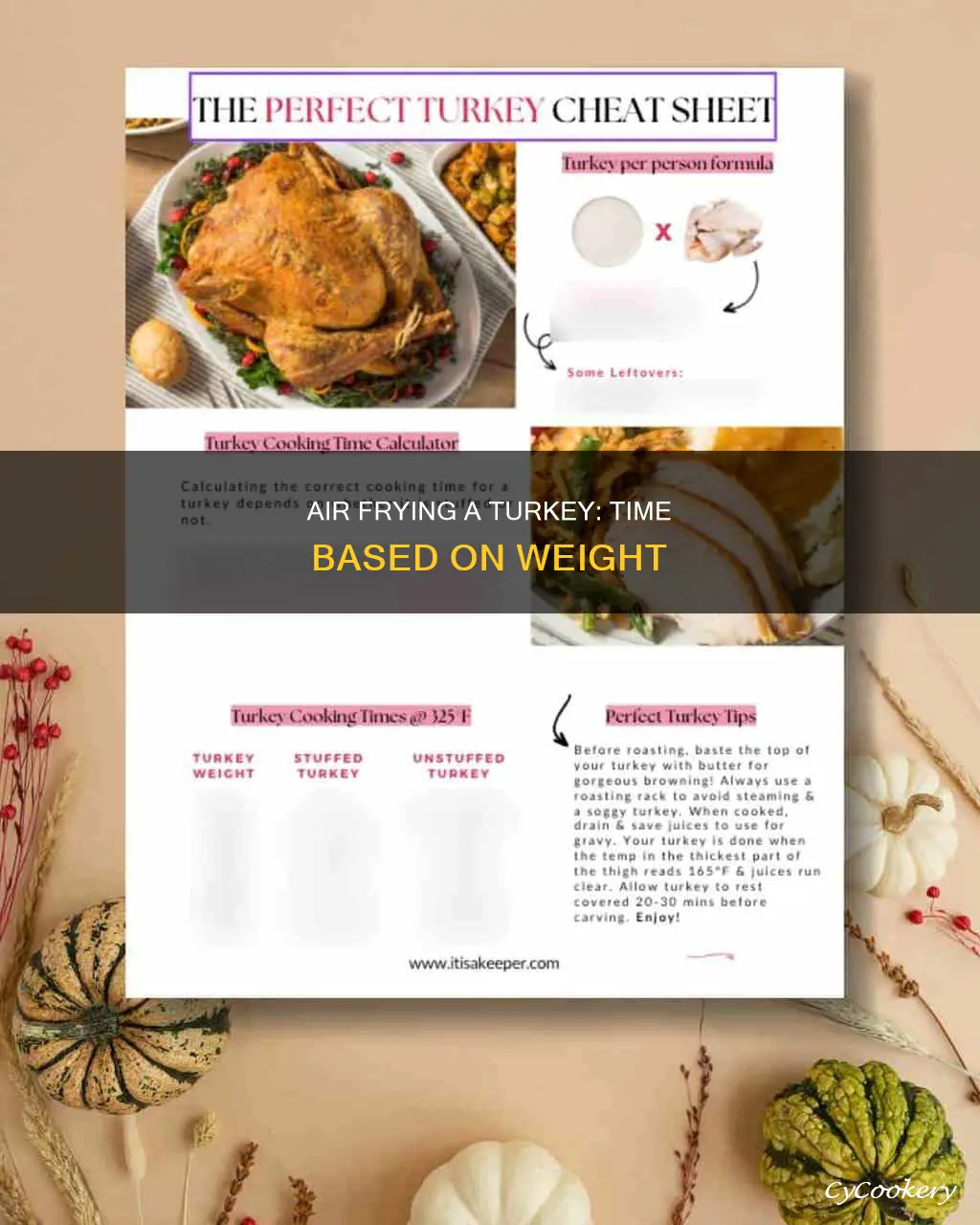 how long to cook 10 lb turkey in air fryer
