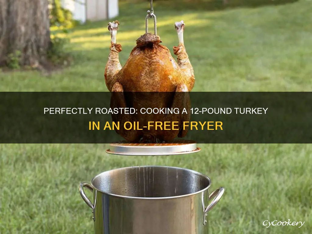 how long to cook 12 lb turkey in oiless fryer