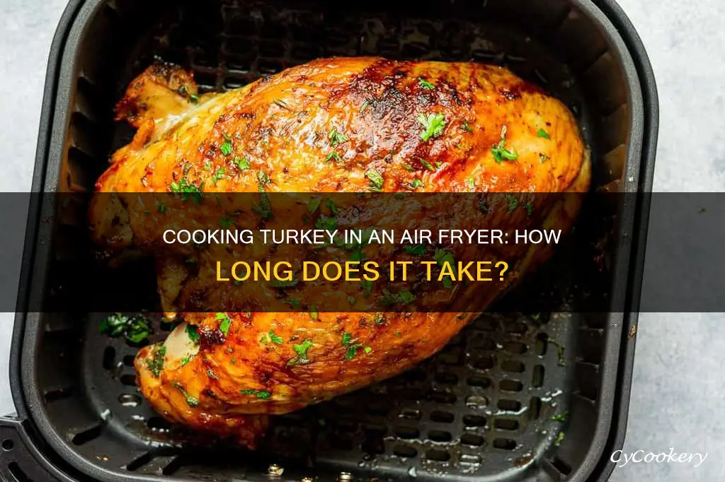 how long to cook 12 lb turkey in oiless fryer