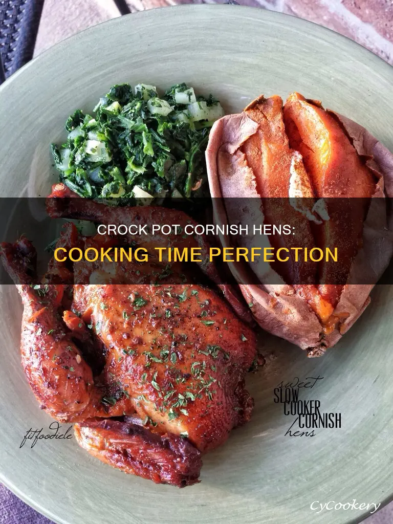 how long to cook 2 cornish hens in crock pot