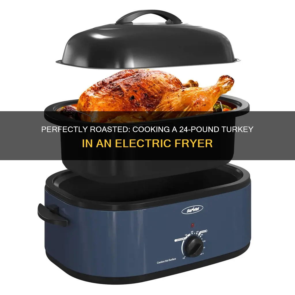 how long to cook 24lb turkey in an electric fryer