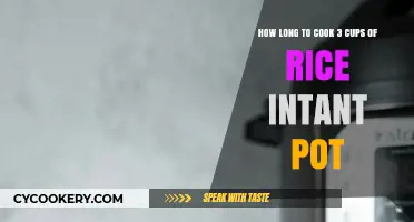 Cooking Rice: Instant Pot Timing for Perfect Results